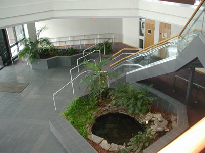 Musculoskeletal Center of the North Shore, Peabody, MA